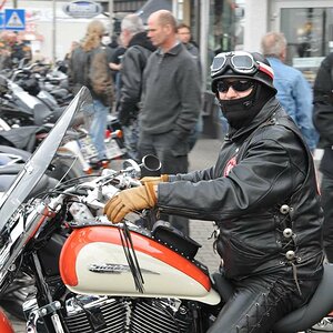 Harley