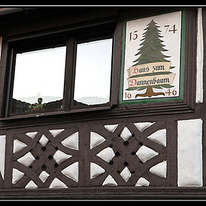 haus zum dannenbaum