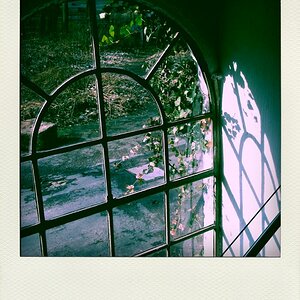 DSCF3979 vs1 pola