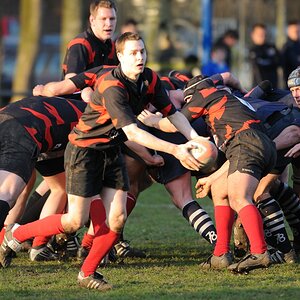 compaRugby 219 1