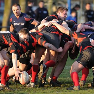 compaRugby 217 2