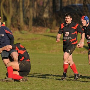 compaRugby 175 6