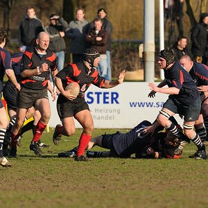 compaRugby 137 7