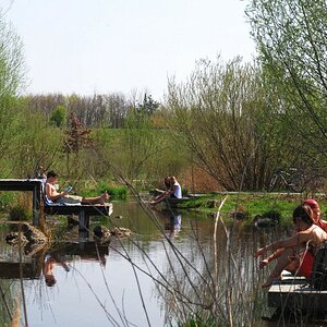 DSC 3020
