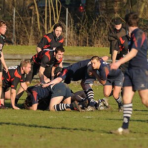 compaRugby 171 12