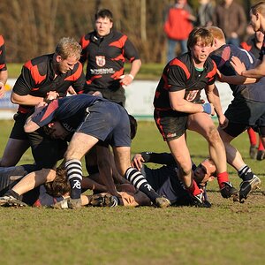 compaRugby 154 13