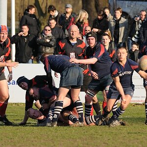 compaRugby 127 14