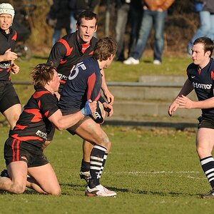 compaRugby 167 15