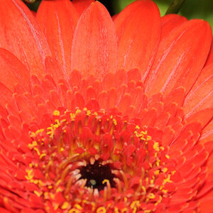100% Crop manuelle Belichtung 1/30 f1:8