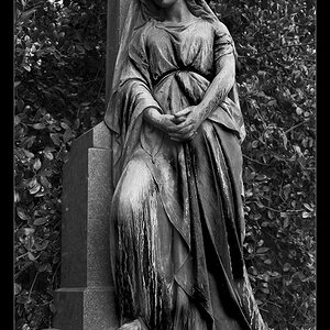 Hauptfriedhof Goettingen 0023 Kopie