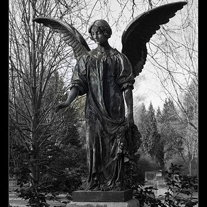 Hauptfriedhof Goettingen 0042 Kopie
