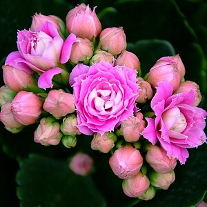 DSCF0466