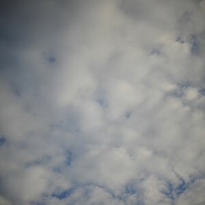 DSC 7767