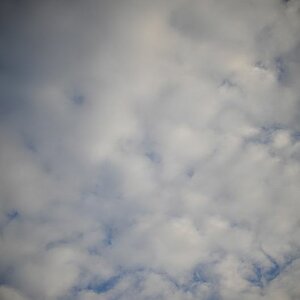 DSC 7768