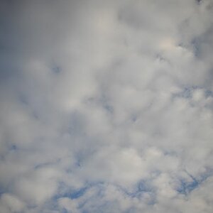 DSC 7769