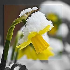 Ostern2008(4 11) Kopie