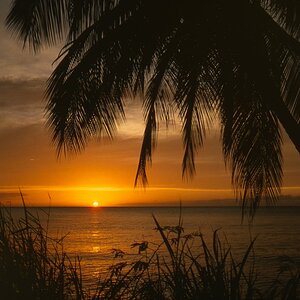 Grenada 4 3 9600 cnx f: Grenada, 1978; Kodachrome 25, Canoscan 9000F