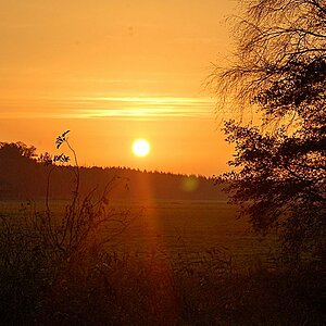 Heute morgen um 08 14.11.13 017