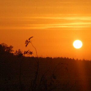 Heute morgen um 08 14.11.13 019