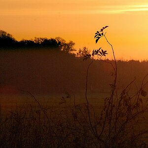 Heute morgen um 08 14.11.13 021