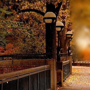 Brücke im Herbst