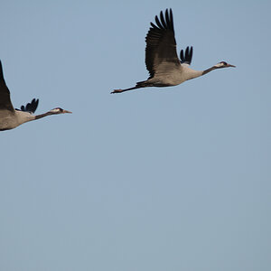20130930  HIG5557