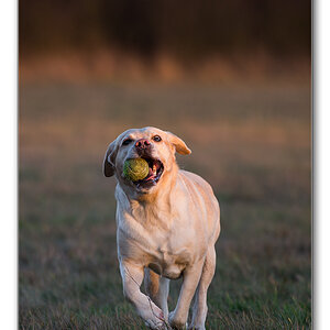 sina in der abendsonne