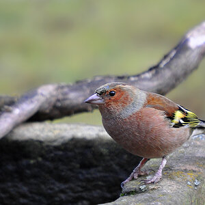 DSC 9314 khg