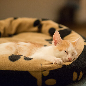 20131208 DSC00098