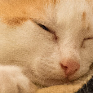 20131208 DSC00098 Bearbeitet 2