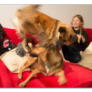 kind und hund1