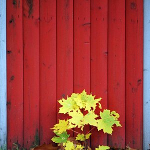 Herbst