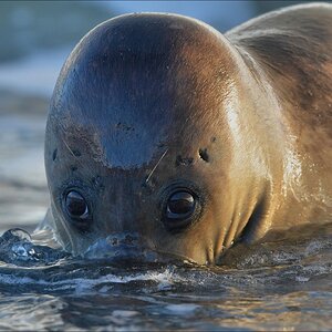 aacomp Helgoland 20130112 2683