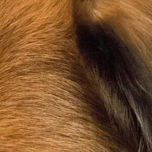 crop32+2LW