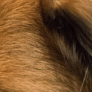 crop128