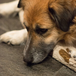 ISO3200 +2LW