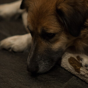 ISO3200 400