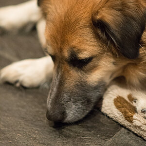 ISO12800 100