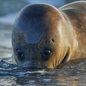 aacomp Helgoland 20130112 2683