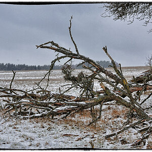 Winterlandschaft