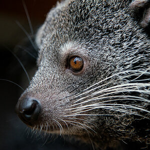 zoo darmstadt 2
