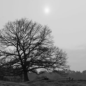 Weihnachten in der Westruper Heide bei Haltern