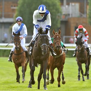 aacomp Galopp Derby 09 0185