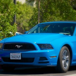 the first Mustang
