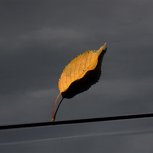 Herbst