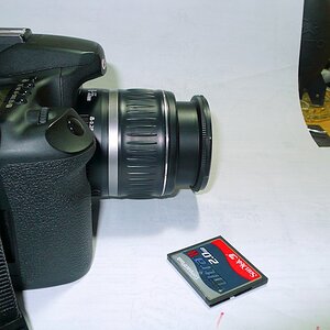 DSC 8048