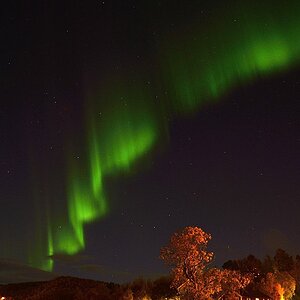 Nordlichter - Harstad-Norwegen