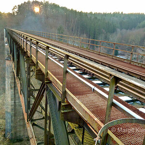 Brücke Eiswoog Pfalz