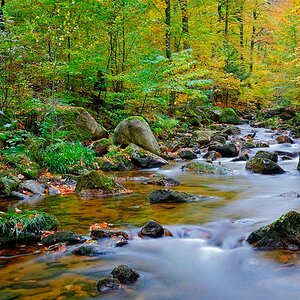 Harz