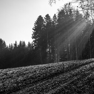 DSCF8398